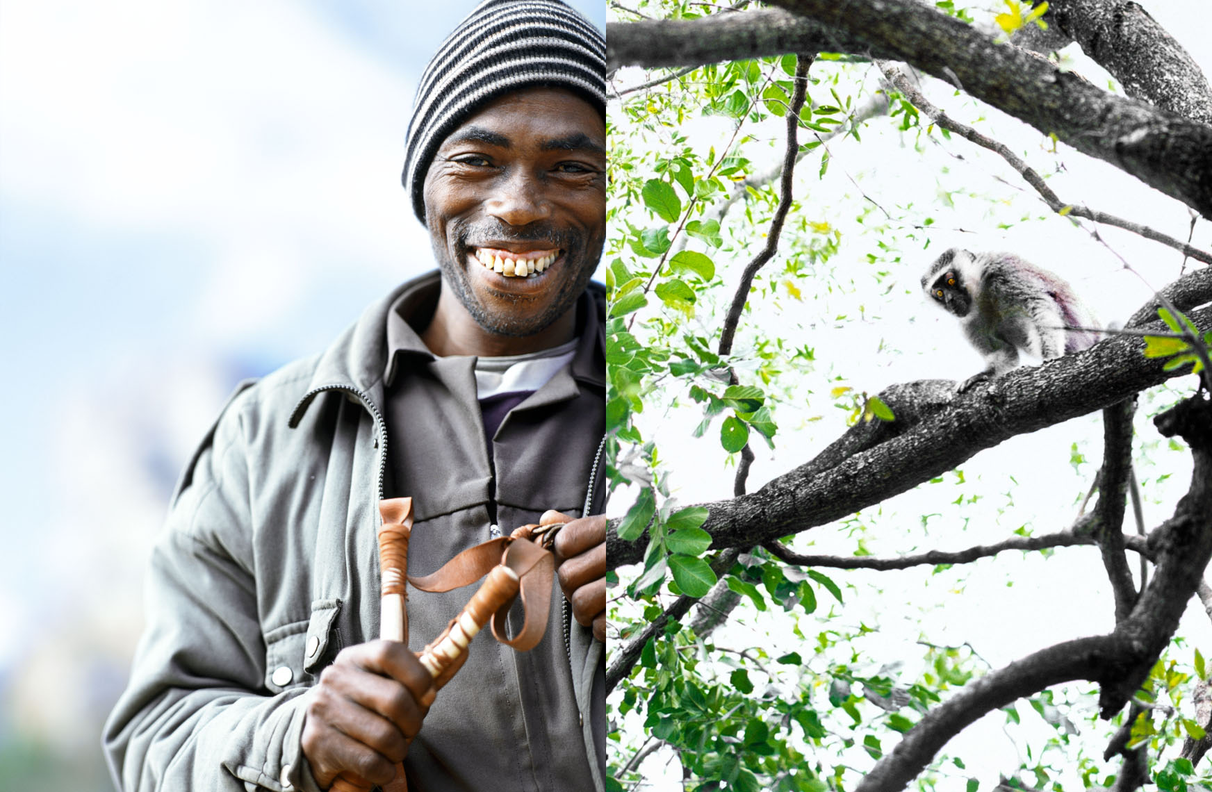 An employee at Londolozi Tree Camp, trusty slingshot every at-the-ready, protects guests from the aggressive monkeys ready to scavenge from the trees above