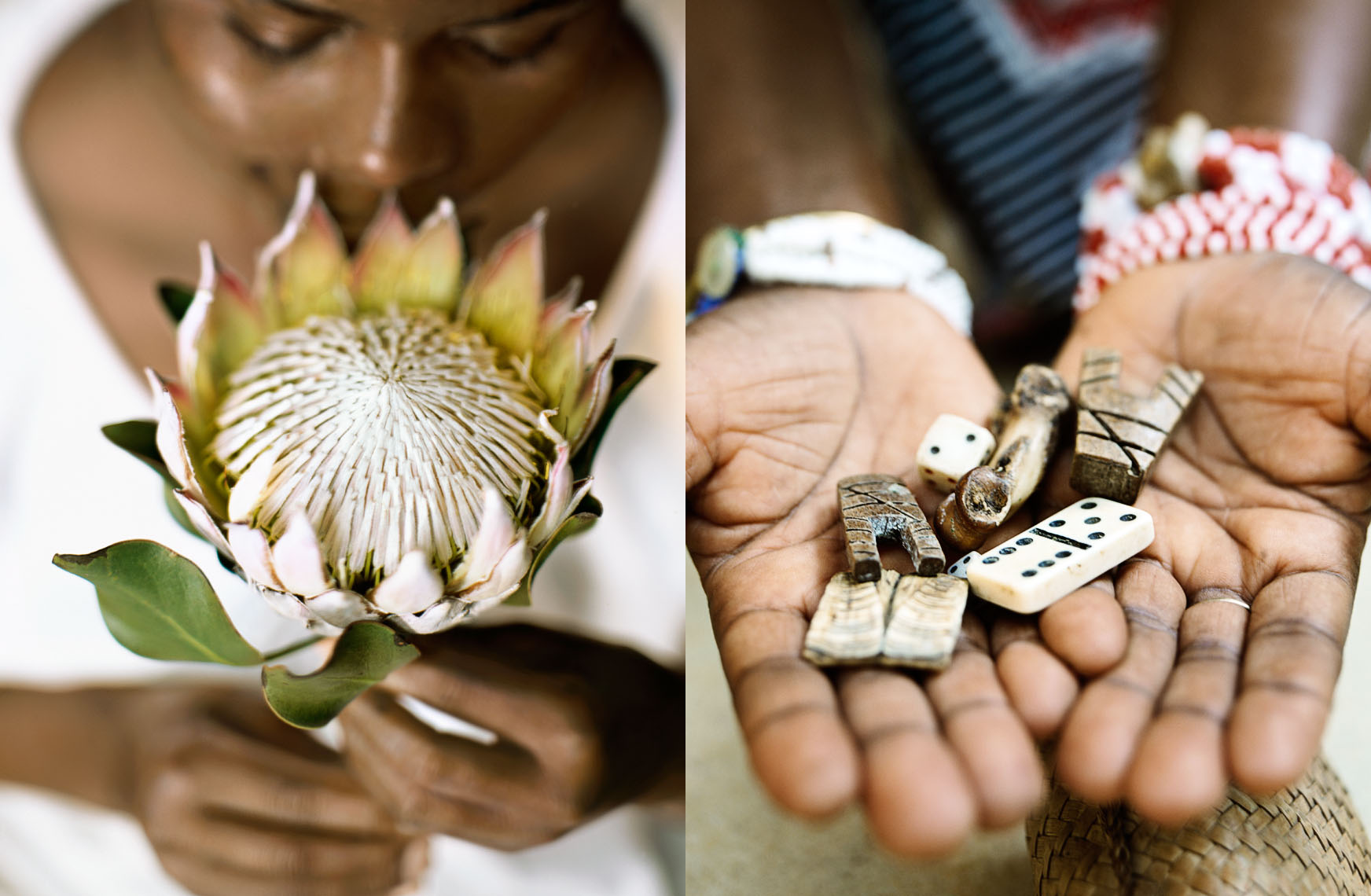 Proteas, the national flower of South Africa, grow wild at Kirstenbosch National Botanical Gardens in Cape Town.  A sangoma is a traditional healer and fortune teller, shown here displaying some of the charms she uses to forecast the future