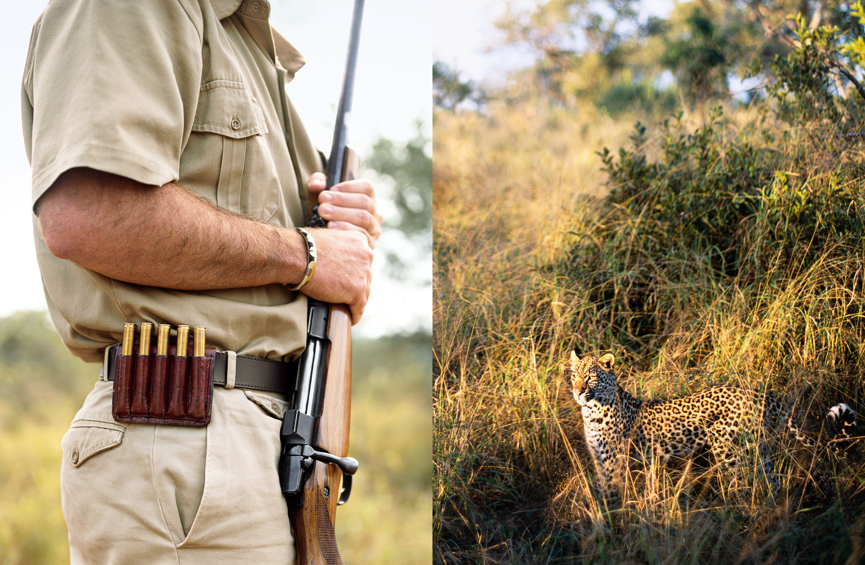 Ranger armed for protection, not hunting, from beautiful but dangerous animals, such as the cheetah